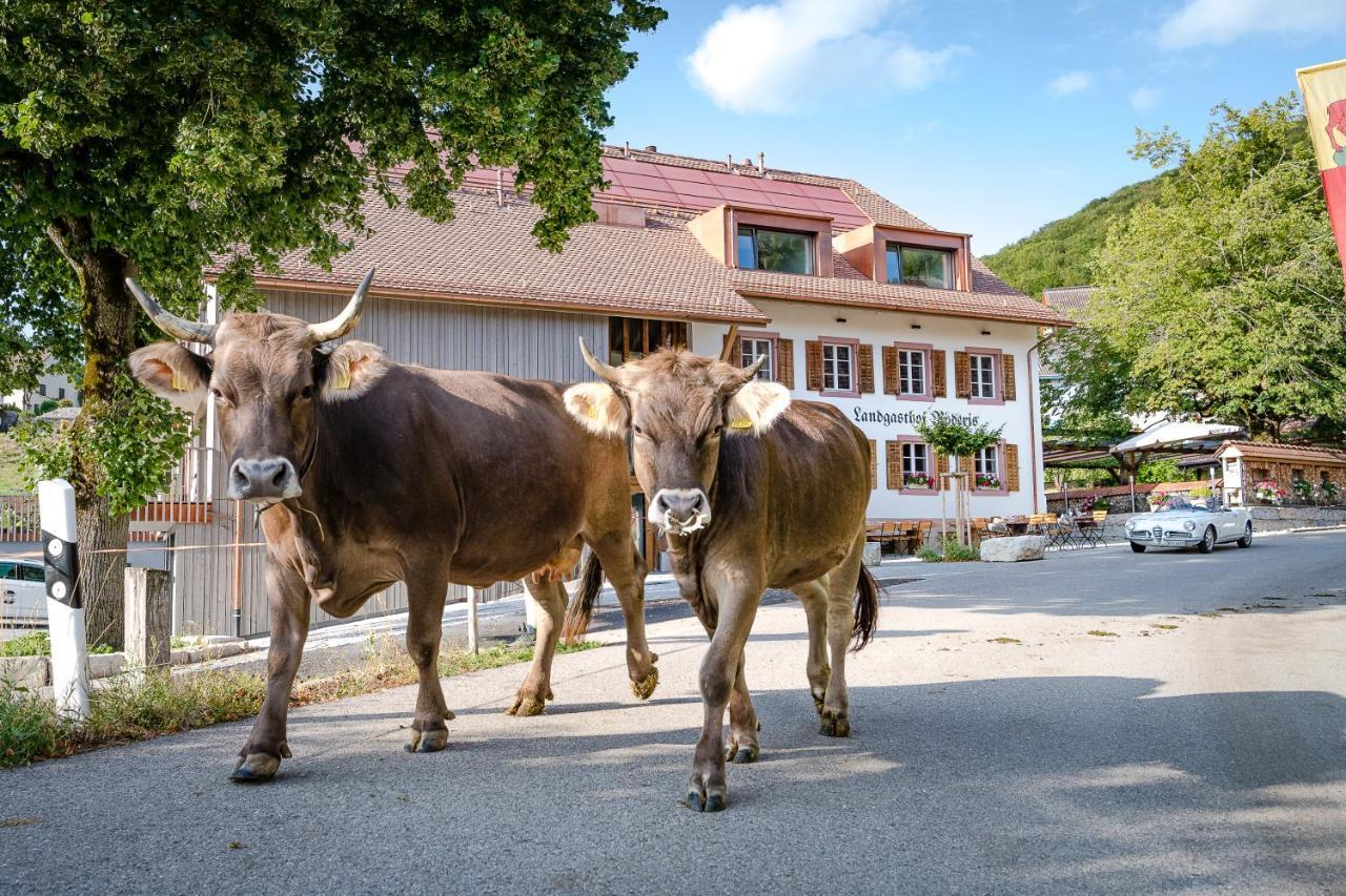 ОТЕЛЬ LANDGASTHOF RODERIS, NUNNINGEN **